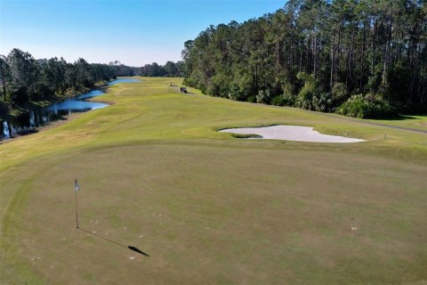 Land in Palm Coast, Florida № 2228182 - photo 29