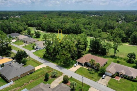 Land in Palm Coast, Florida № 2228182 - photo 8