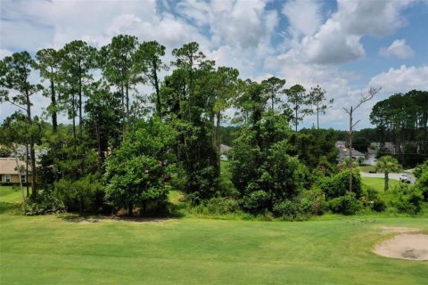 Land in Palm Coast, Florida № 2228182 - photo 17