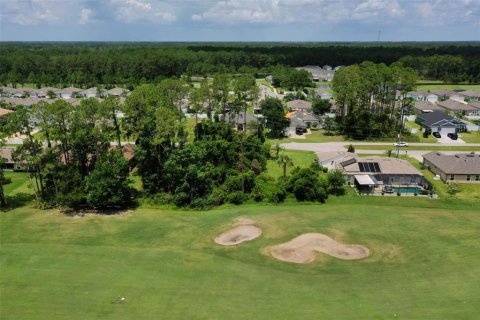 Land in Palm Coast, Florida № 2228182 - photo 5