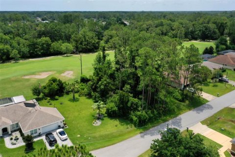 Land in Palm Coast, Florida № 2228182 - photo 2