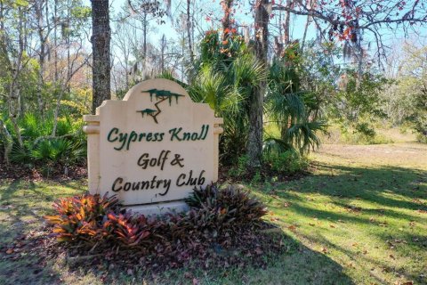 Land in Palm Coast, Florida № 2228182 - photo 21