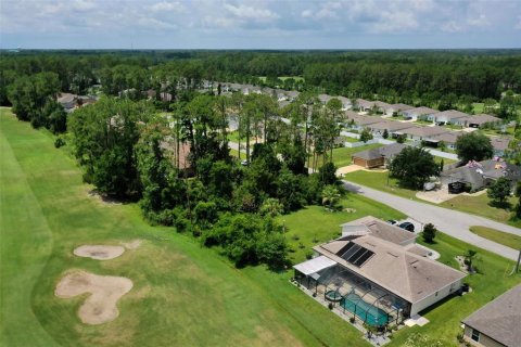 Land in Palm Coast, Florida № 2228182 - photo 4