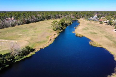 Land in Palm Coast, Florida № 2228182 - photo 26