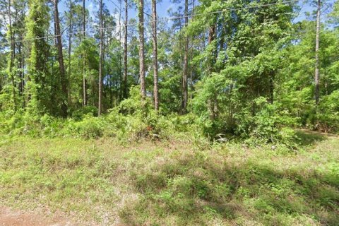 Land in Fort MC Coy, Florida № 2159178