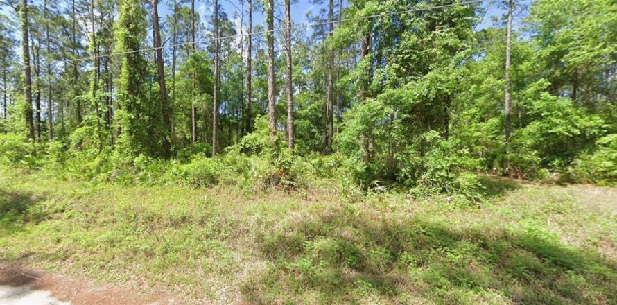 Land in Fort MC Coy, Florida № 2159178