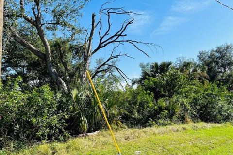 Land in North Port, Florida № 1555813 - photo 6