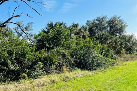 Land in North Port, Florida № 1555813 - photo 5