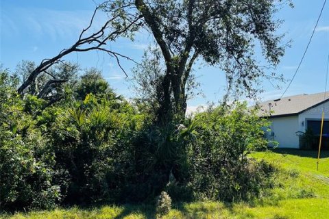 Land in North Port, Florida № 1555813 - photo 1
