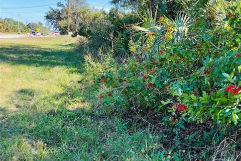 Land in North Port, Florida № 1555813 - photo 2