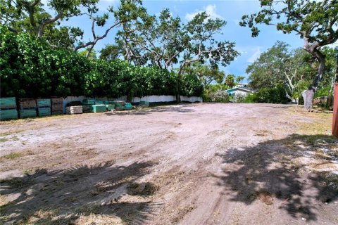 Terreno en venta en Saint Petersburg, Florida № 1900522 - foto 14