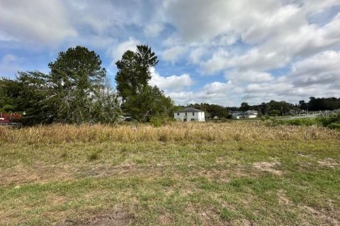 Terrain à vendre à Ocala, Floride № 1614234 - photo 3