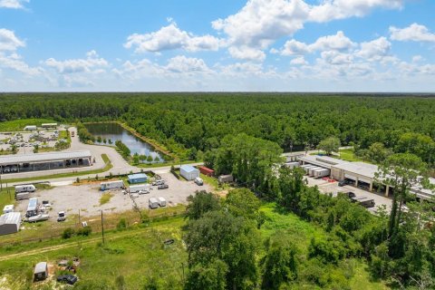 Commercial property in Saint Augustine, Florida № 1866308 - photo 9