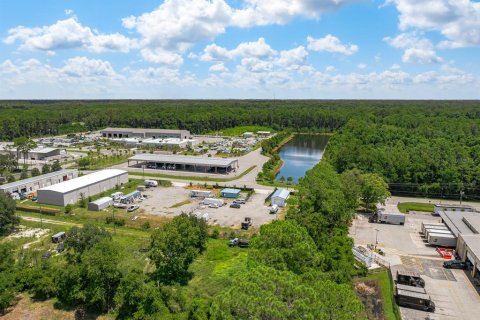 Commercial property in Saint Augustine, Florida № 1866308 - photo 10