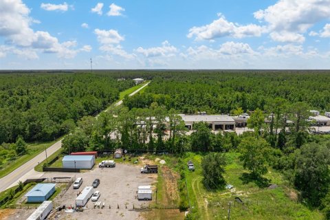 Commercial property in Saint Augustine, Florida № 1866308 - photo 8