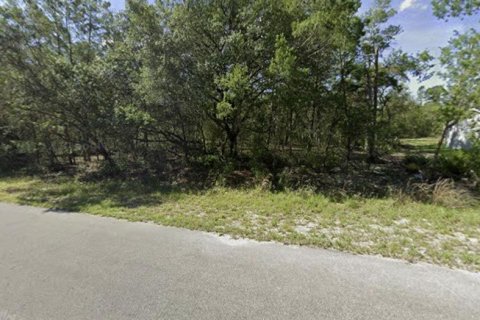 Terreno en venta en Ocklawaha, Florida № 2159500 - foto 5