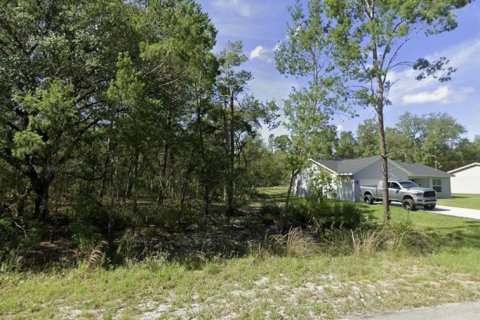 Terreno en venta en Ocklawaha, Florida № 2159500 - foto 4