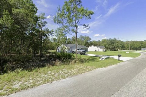 Terreno en venta en Ocklawaha, Florida № 2159500 - foto 6