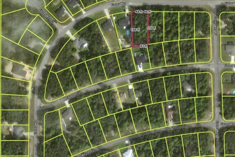 Terreno en venta en Ocklawaha, Florida № 2159500 - foto 3