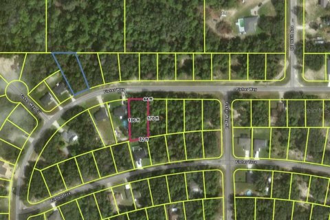 Terreno en venta en Ocklawaha, Florida № 2159500 - foto 2