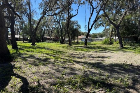 Land in Dade City, Florida № 2160891 - photo 5