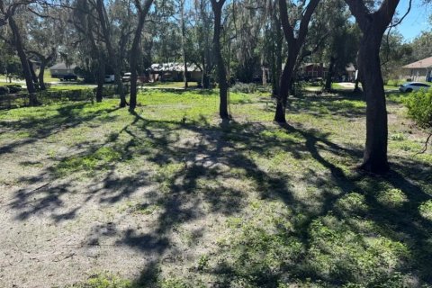 Land in Dade City, Florida № 2160891 - photo 2