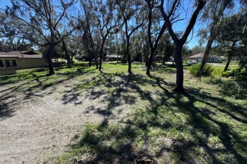 Land in Dade City, Florida № 2160891 - photo 3