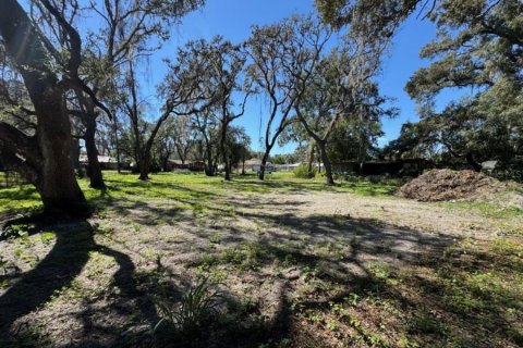 Land in Dade City, Florida № 2160891 - photo 4