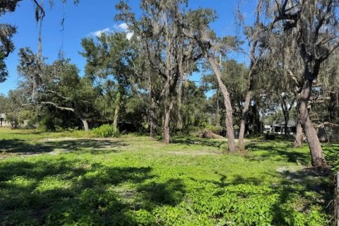 Land in Dade City, Florida № 2160891 - photo 6