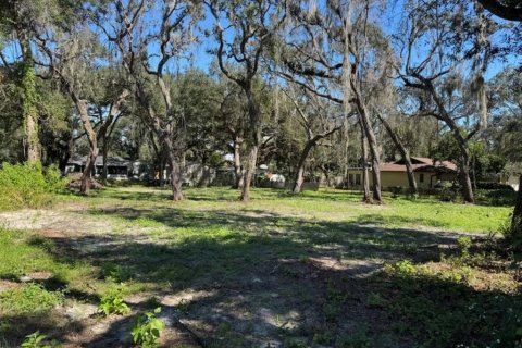 Land in Dade City, Florida № 2160891 - photo 8