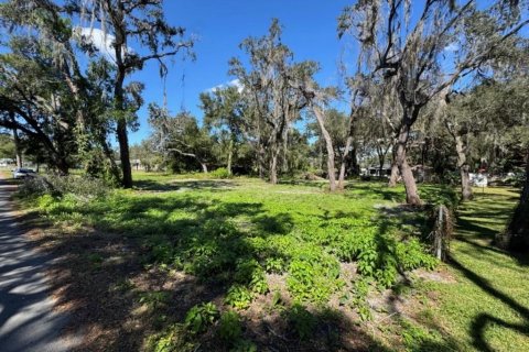 Land in Dade City, Florida № 2160891 - photo 7