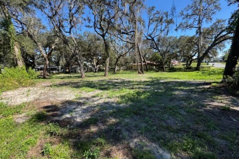 Land in Dade City, Florida № 2160891