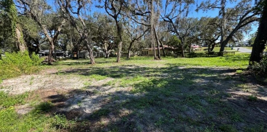 Land in Dade City, Florida № 2160891