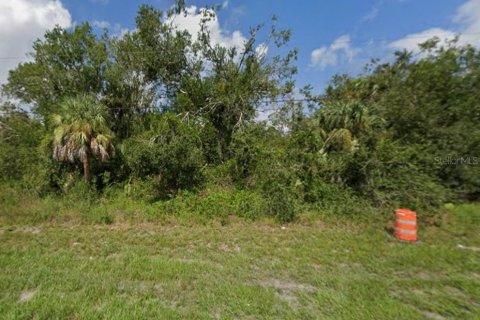 Land in Punta Gorda, Florida № 2165007 - photo 2