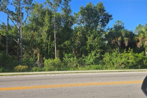 Land in Punta Gorda, Florida № 2165007