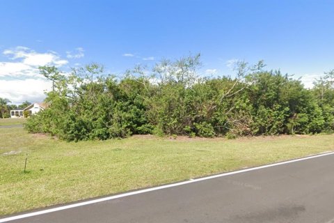 Land in Punta Gorda, Florida № 1815226 - photo 3
