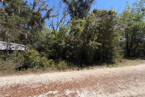 Land in Newberry, Florida № 2233107