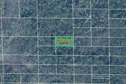 Land in Orlando, Florida № 2163615 - photo 2