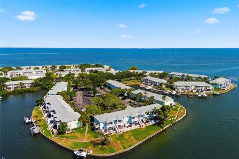 Copropriété à louer à Saint Petersburg, Floride: 1 chambre, 62.06 m2 № 2093348 - photo 25