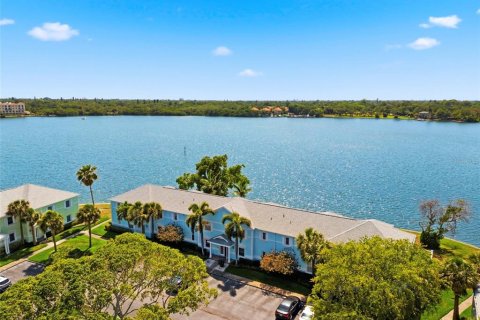 Condo à Saint Petersburg, Floride, 1 chambre  № 2093348