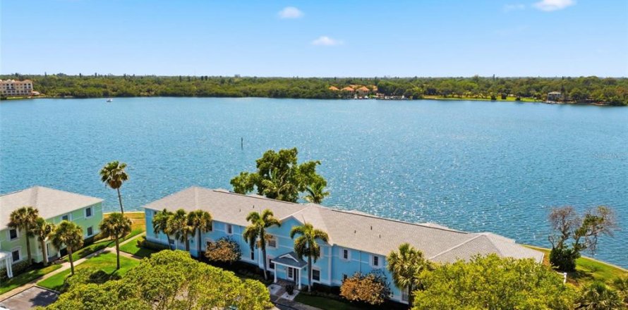 Condo à Saint Petersburg, Floride, 1 chambre  № 2093348