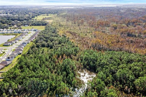 Land in Davenport, Florida № 859223 - photo 4