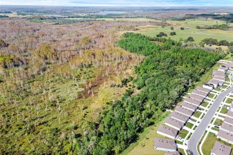 Land in Davenport, Florida № 859223 - photo 7