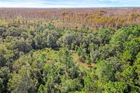 Land in Davenport, Florida № 859223 - photo 13