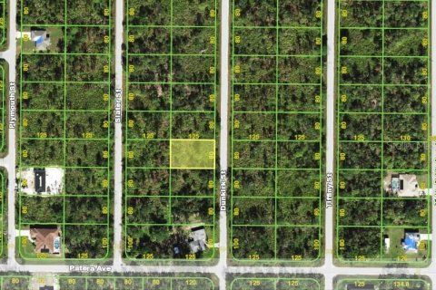 Land in Punta Gorda, Florida № 2165071