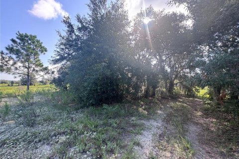 Land in Inverness, Florida № 2296497