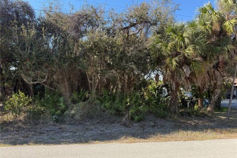 Land in Port Charlotte, Florida № 2159729 - photo 4