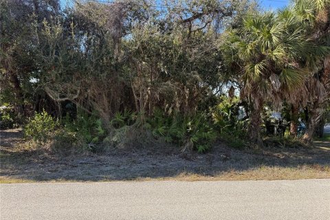 Land in Port Charlotte, Florida № 2159729 - photo 3