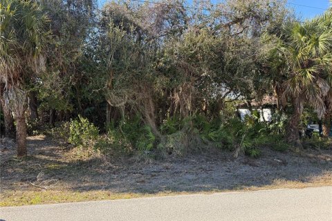 Land in Port Charlotte, Florida № 2159729