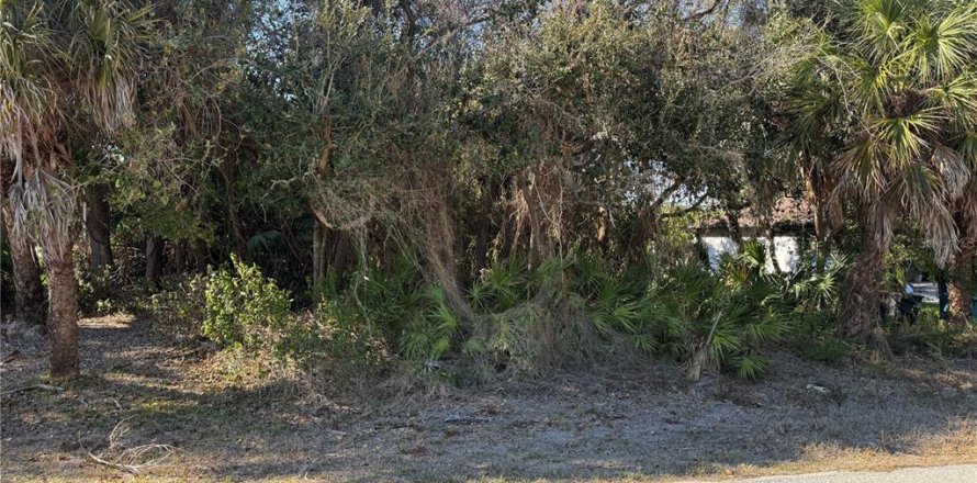 Land in Port Charlotte, Florida № 2159729